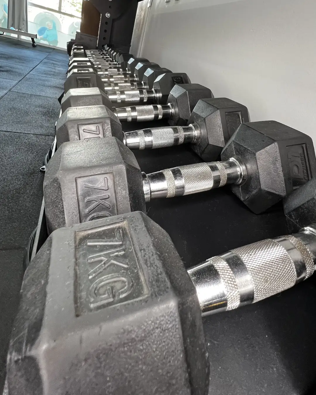 Linha de halteres para treino funcional e fortalecimento